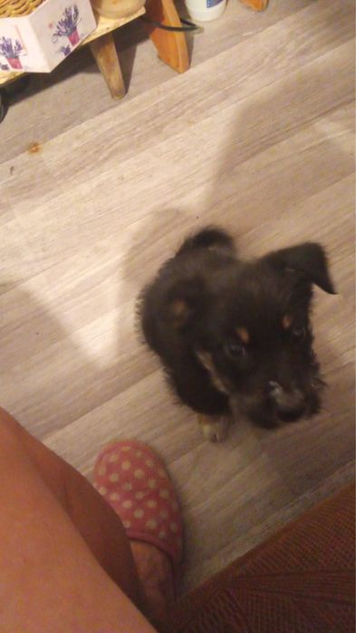 Отдам мальчика в хорошие руки