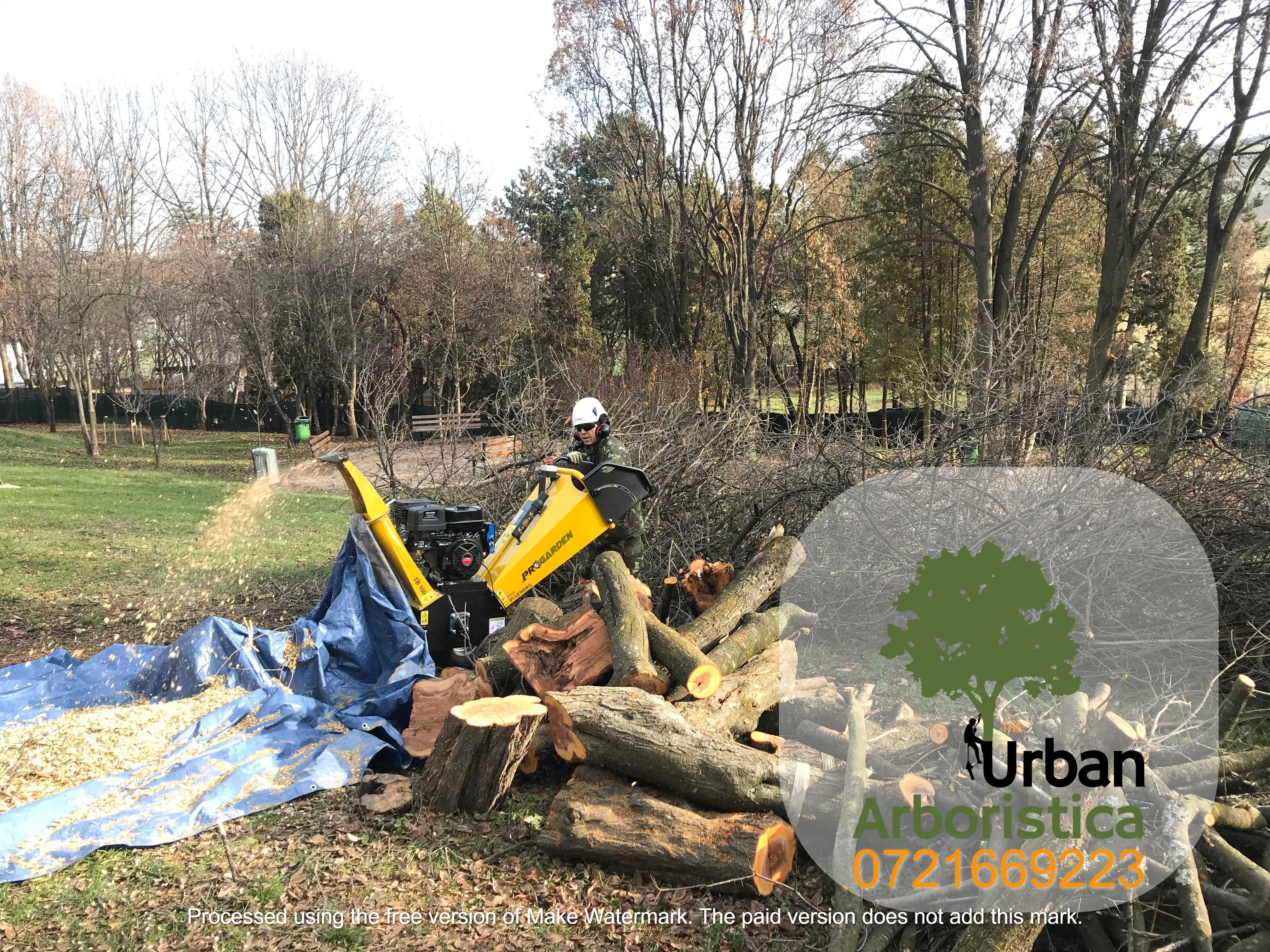 Toaletare Taiere Copaci Alba Iulia Servicii Firma Alpinisti Arboristi