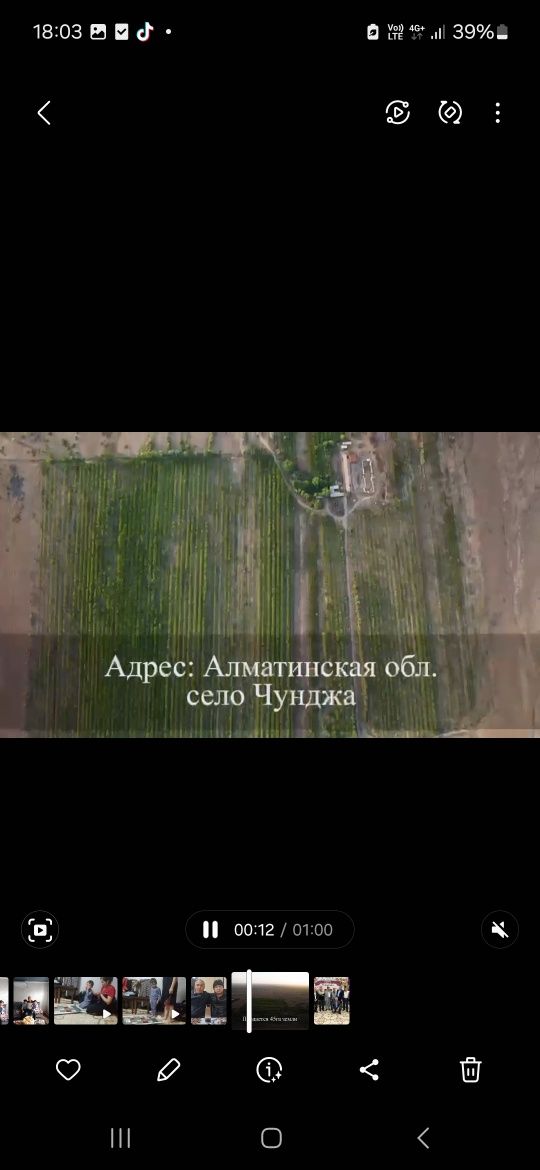 Продам сад 45 га абрикосовый