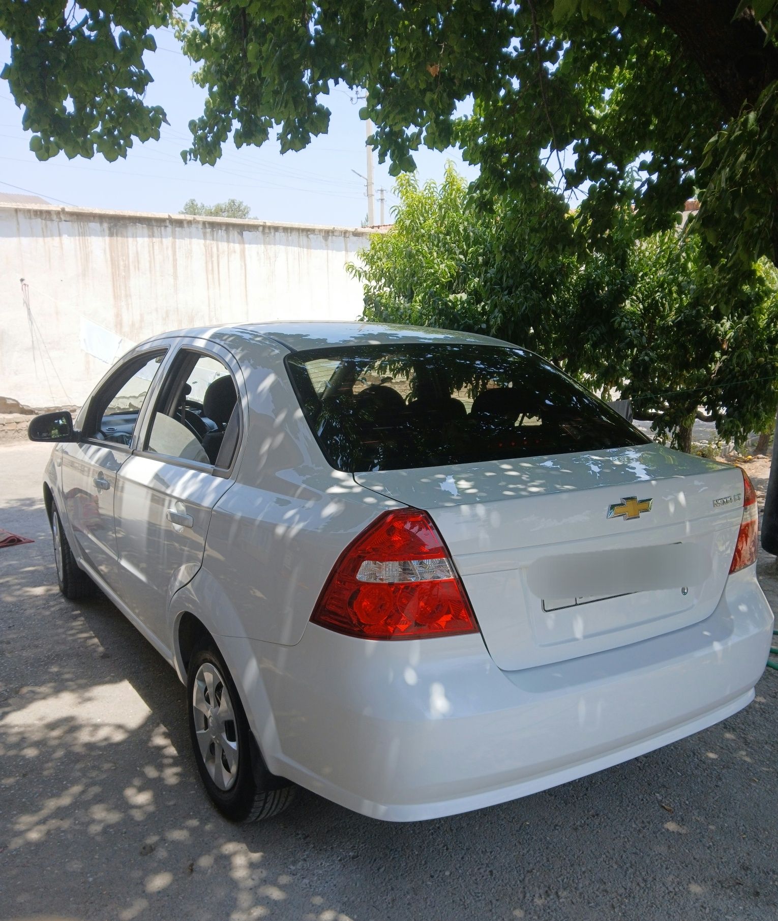 Nexia 3 oq tozza