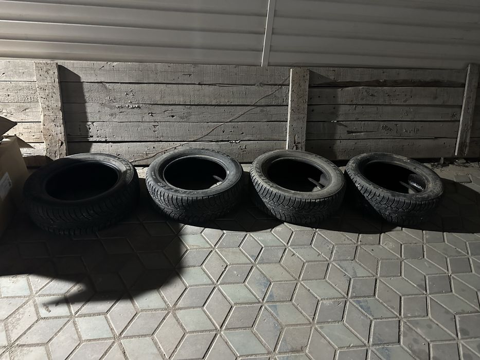 Зимние шины triangle