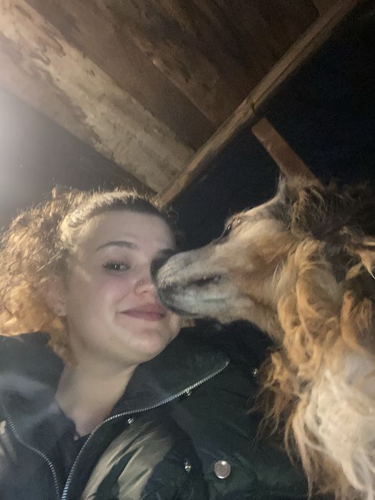 Ofer servicii de petsitting in zona Bucuresti-Ilfov