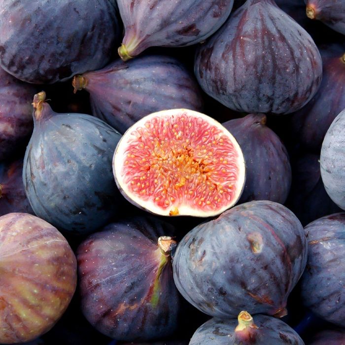 Pomi Fructiferi (Soiuri De Smochini)