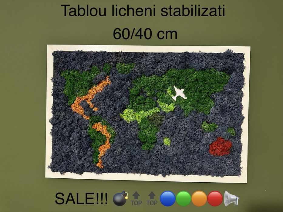 Tablou licheni stabilizati