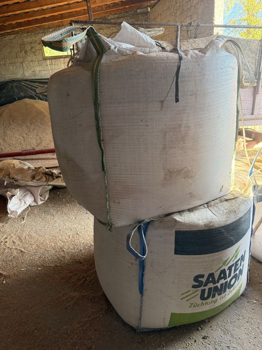 Orz de samanta jup c2 (sau porci ) grau anapurna c2