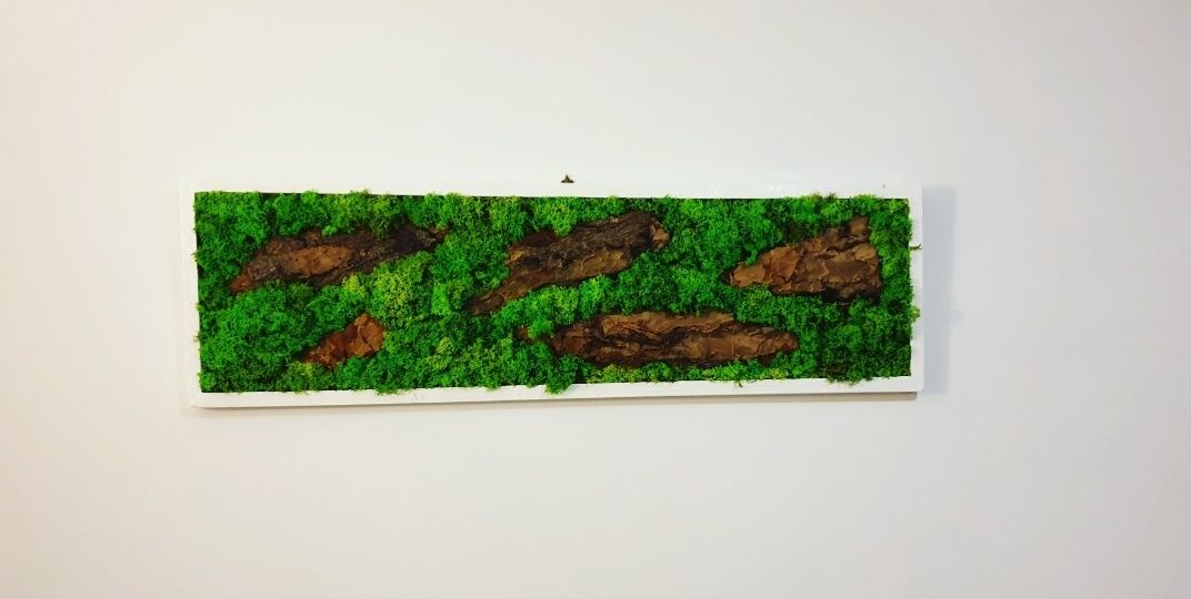 Tablou licheni si scoarta 100x30