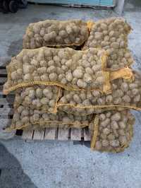 Cartofi pentru animale

Sămânță:

Galben 2,5 lei/kg

Roșu 2,7 lei/kg