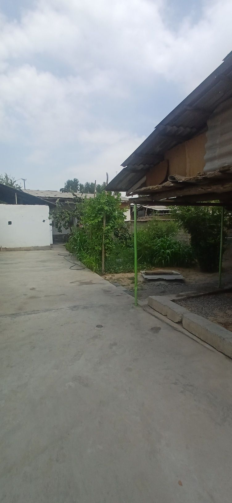 Arendaga hovli srocna