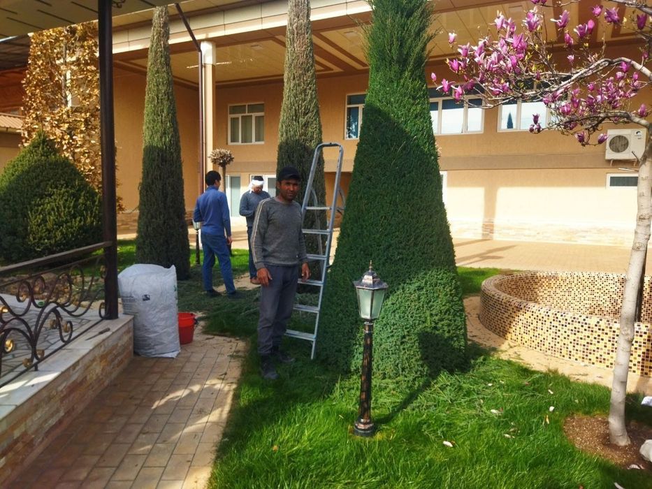 Darahit kisish butalash Binzapilada boğbonchilik hizmati