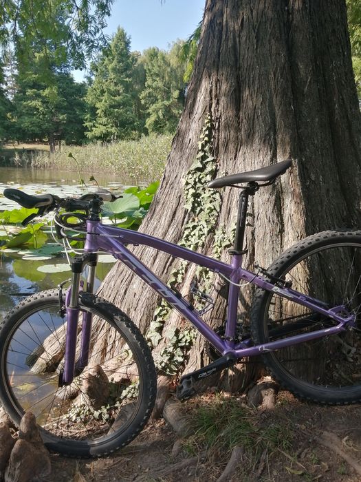 Bicicleta Felt Women