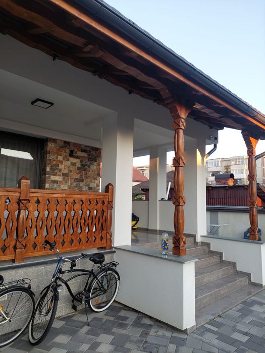 Stalpi sculptati si altele