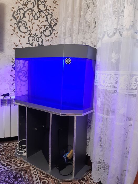 Aquvarium sotiladi srochna.