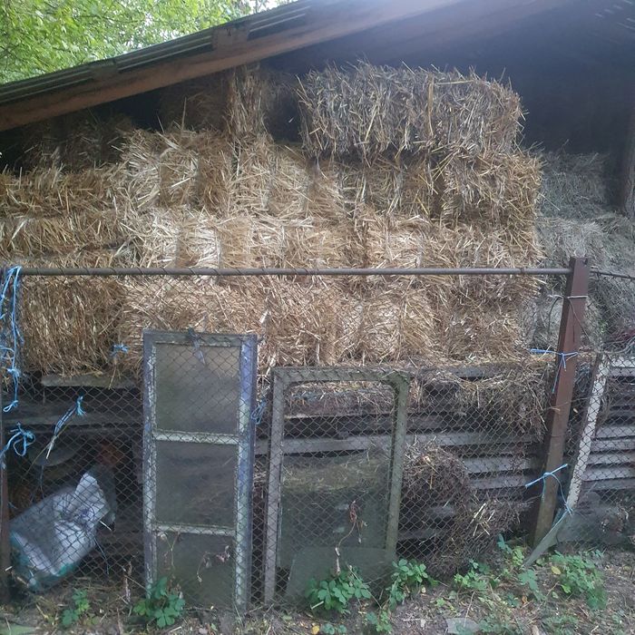 Baloți de fîn și paie
