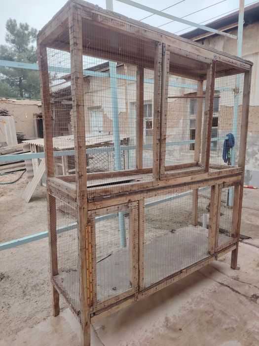 Qafas sotamiz darxol