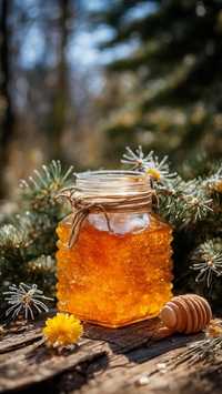 Натуральный Катон-Карагайский мёд