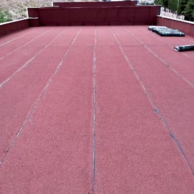 Gidra Izalatsoya xizmati