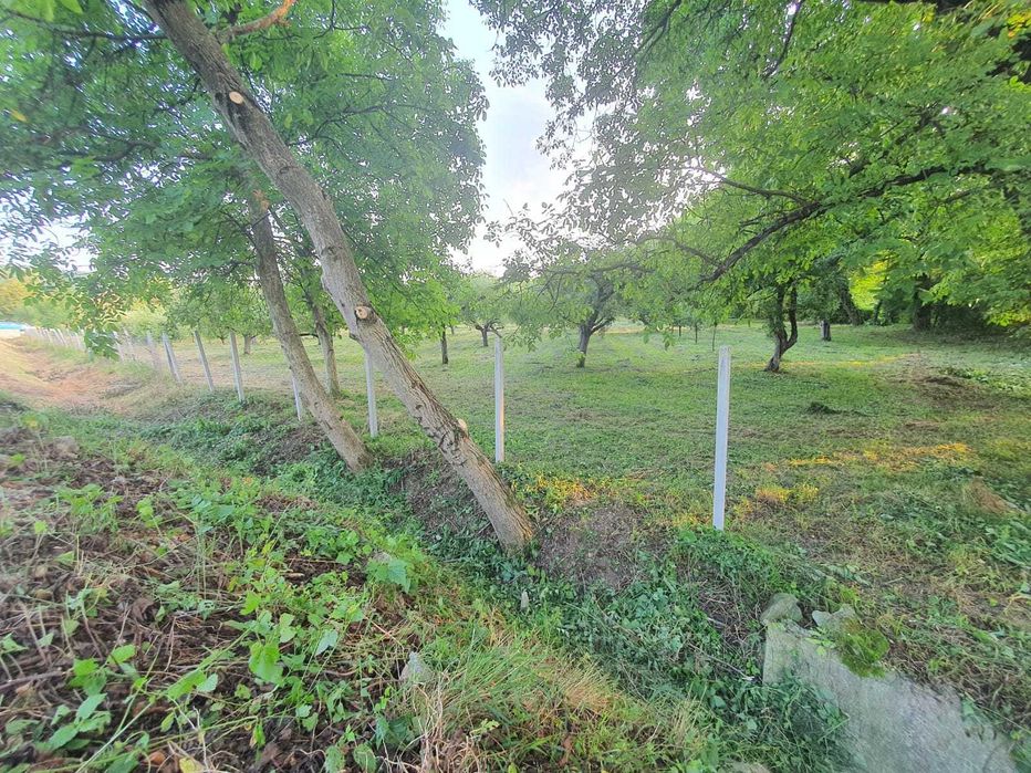 De vânzare: livadă intabulată – Buciumi, Maramureș