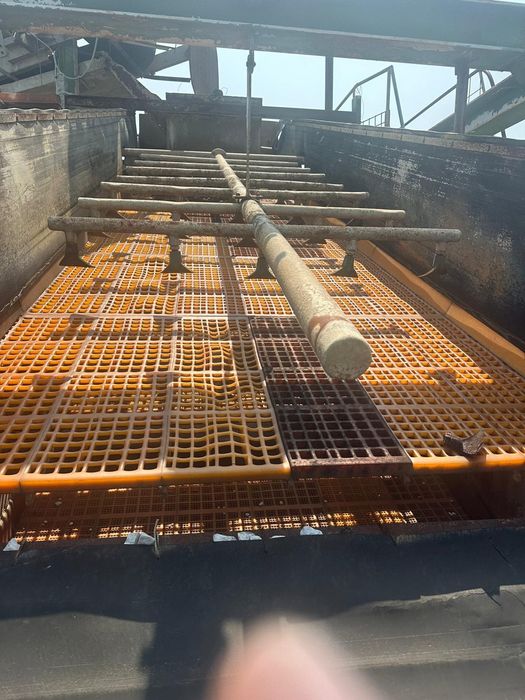 Ciur 4 Sorturi   Loro parasini 600×200