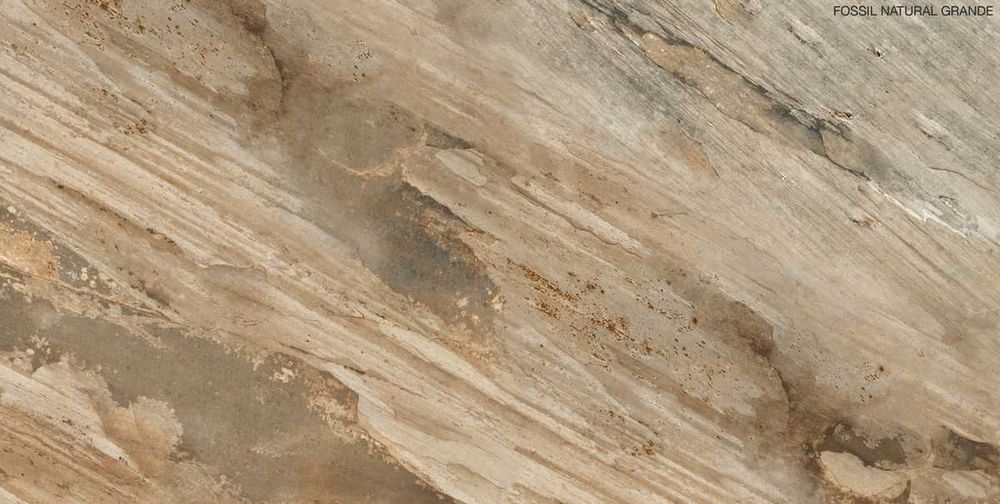 Gresie, colectie Fossil Natural Grande la pret din 2020