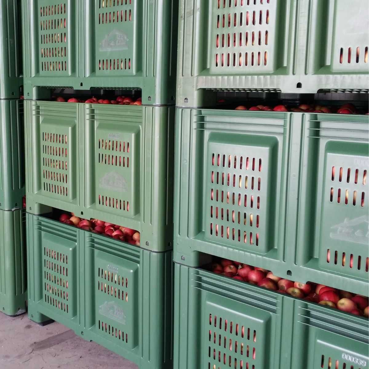 Boxpaleti Peforati, Containere Depozitare Fructe, Lazi Plastic, Noi