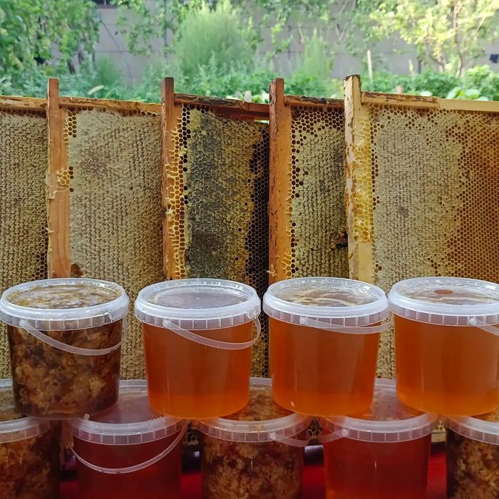 Тау балы 2500кг &