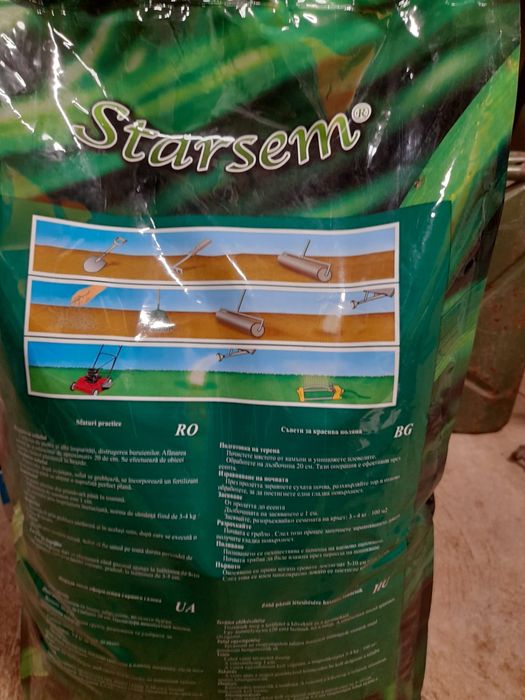 Gazon Starsem 10kg