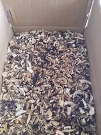 Продам грибы сушенные