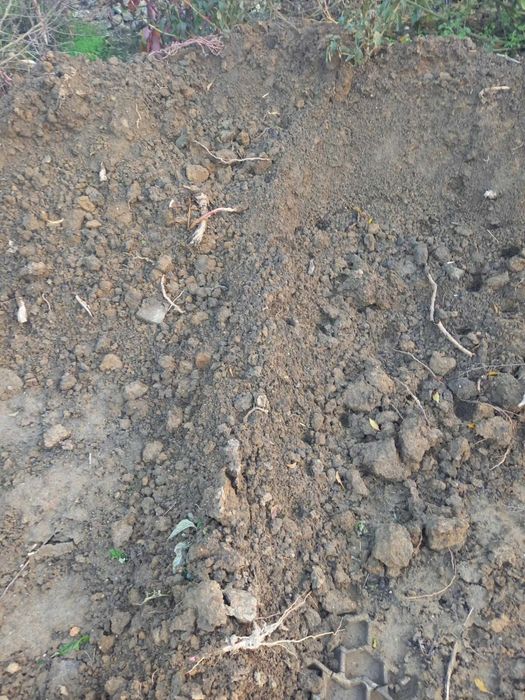 плодородна почва от изкоп