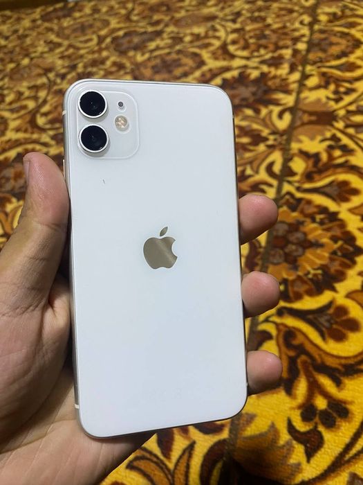 Iphone 11 ideal radnoy