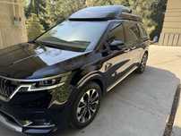 Kia Carnival High Limousine