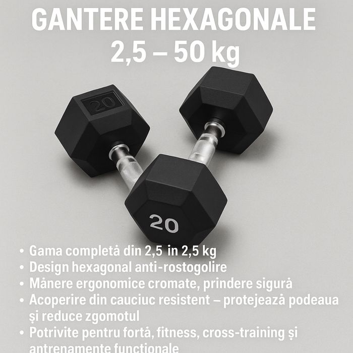 Gantere hexagonale 2,5-50 kg