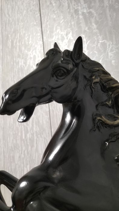 Кора байр холати идеал