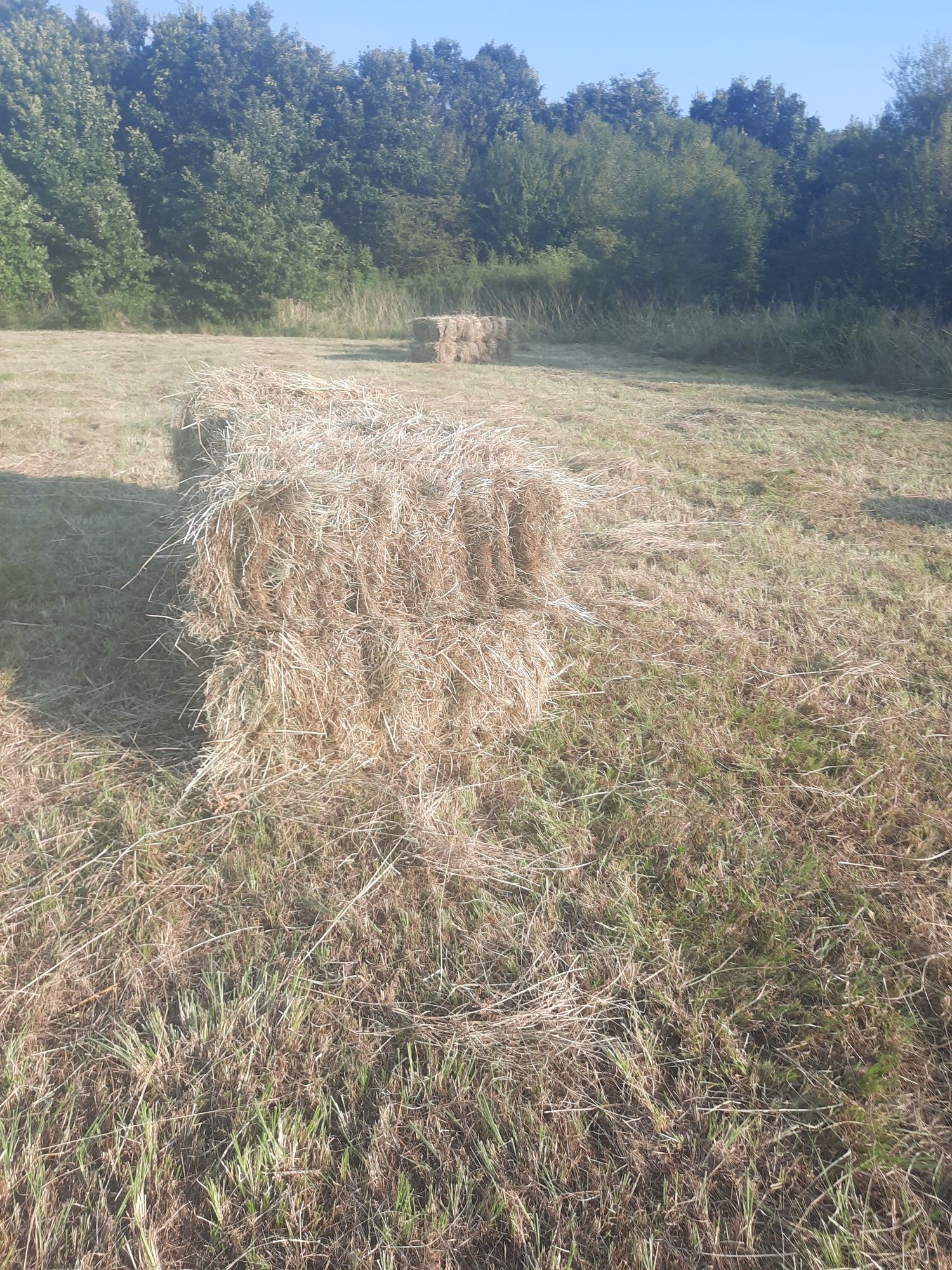 Продавам бали сено