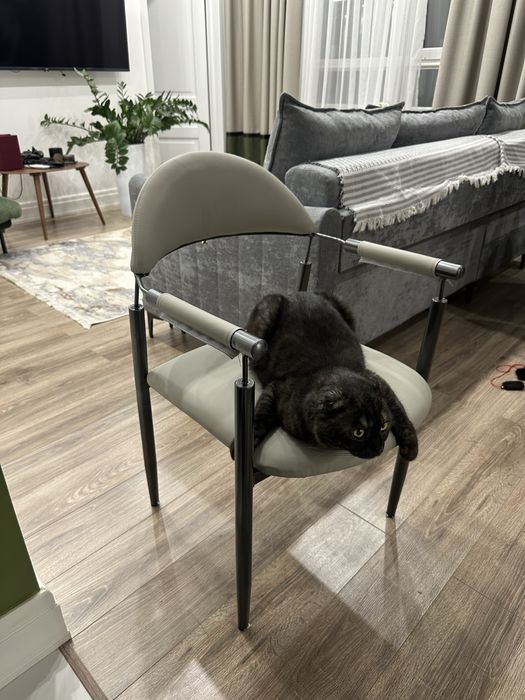 Продам стул в отличном состоянии