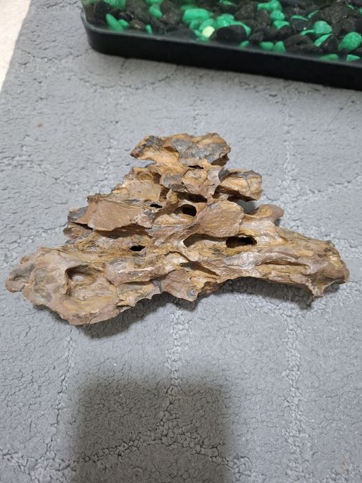 Камень драконий. Dragon stone