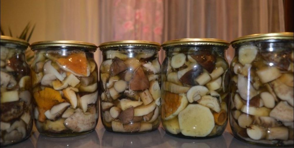 Продам солёные грибы