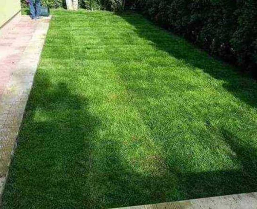 Gazon Rulou Sisteme de Irigare