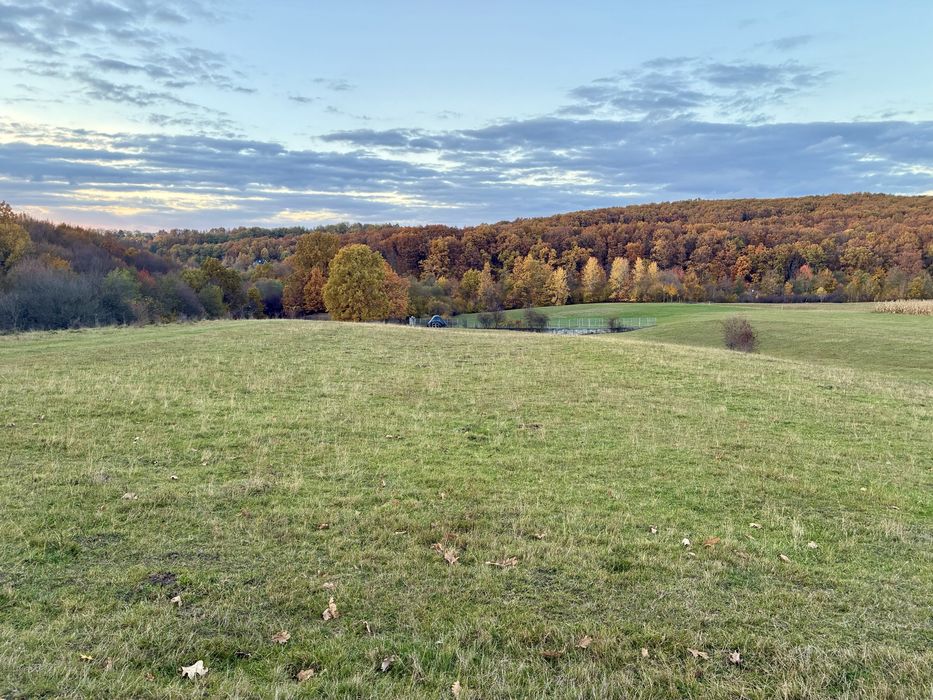 Proprietar – vând teren intravilan în Cărbunari, Maramureș