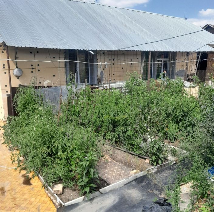 Продаётся дом.В михайловке. Торг.

 Улица Бадина,  район