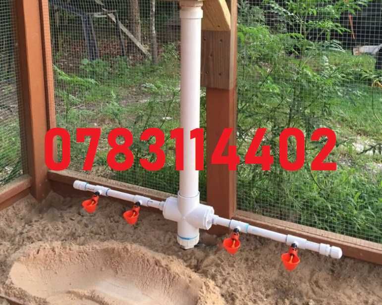 Gaini rate gaste prepelite porumbei curci fazani pasari-ADAPATORI - 6G