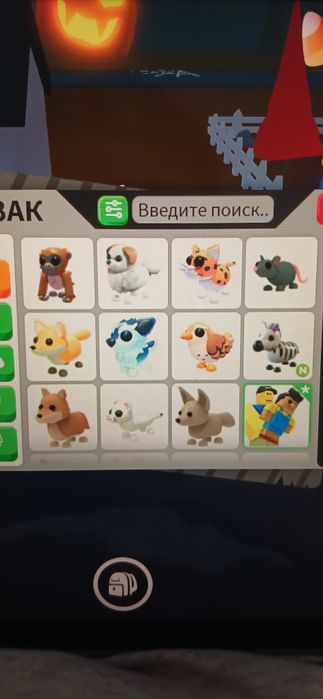 Продаю петов, адопт ми