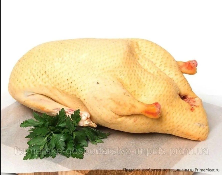 Тушки Утки деревенские