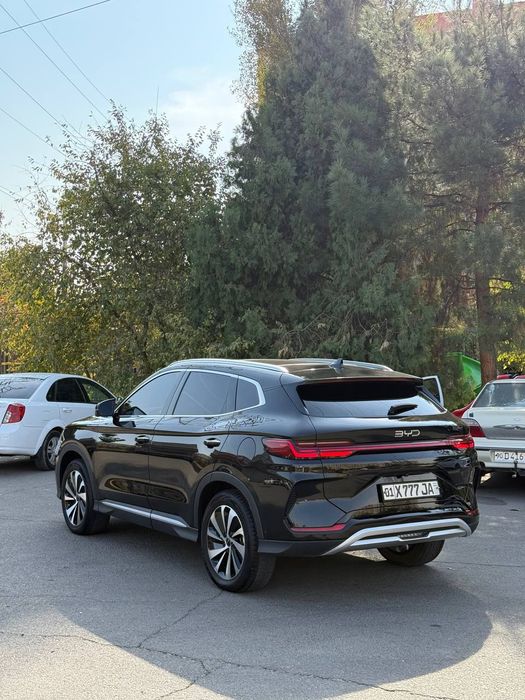 Byd champion  605 km holati ideal kelishamza 2024 yili