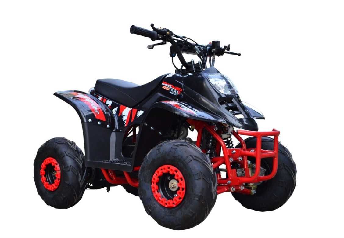 ATV pentru Copii pe Benzina 125cc Automat Import Germania Garantie