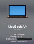 Apple MacBook Air 13 Gold IMPECABIL