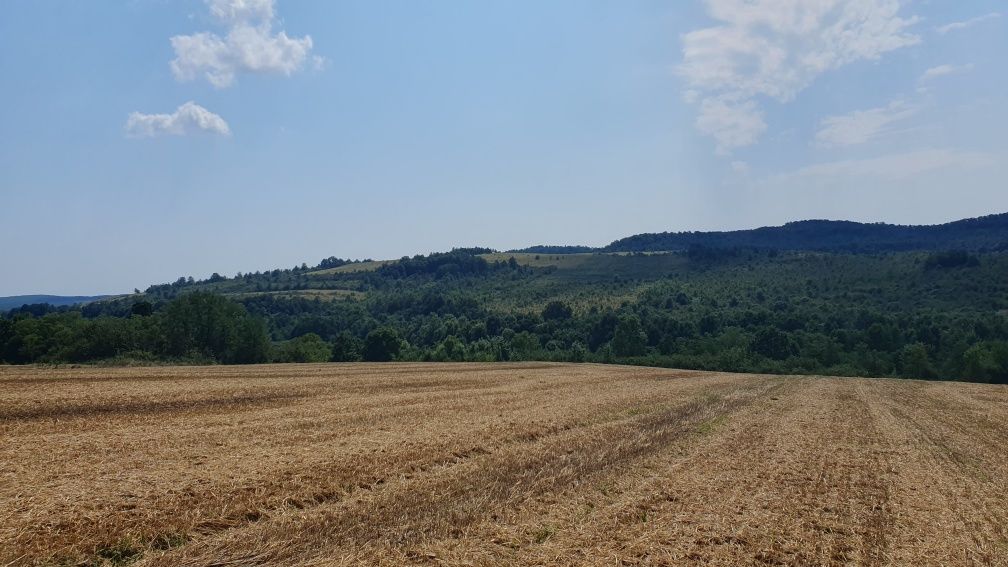 De vânzare teren arabil 2.58 ha. în comuna Bogda județul Timiș !!!