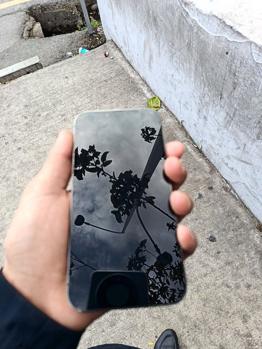 Iphone 13 pro max. Tiniq.