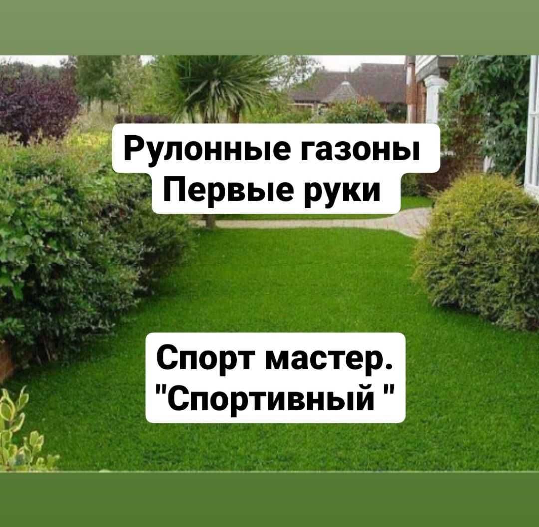 Рулонный газон первые руки