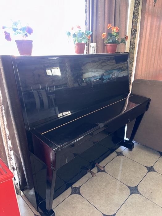 Пипнино в отлтчном состояние