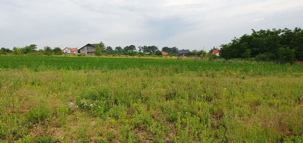 Teren intravilan Rediu